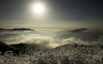 지리산자락