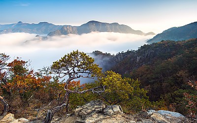 가을산하