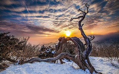 천년의 세월 넘어로
