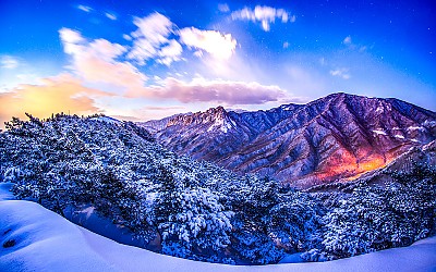 남녁은 꽃소식이...