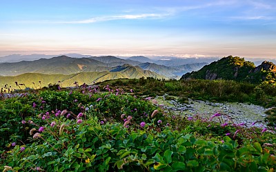 천상의 화원