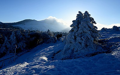 한라산.