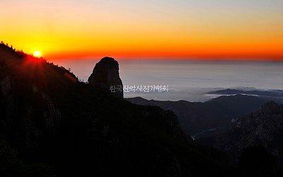 새해 복 많이 반으세요