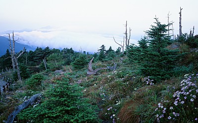 지리산
