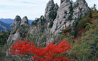 설악산 단풍
