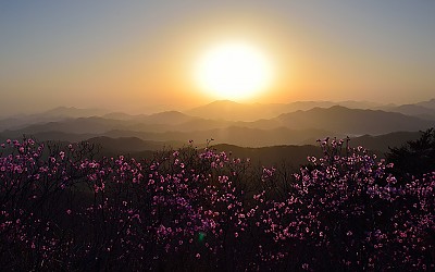 산상의 봄날 아침풍경
