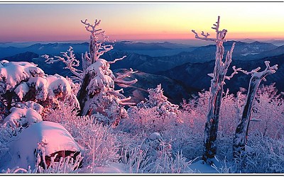 덕유산 상고대