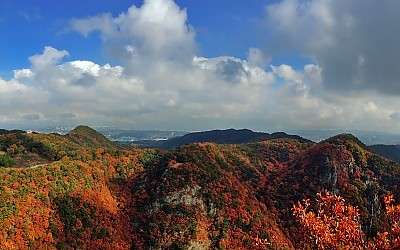 길