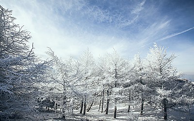 바래봉