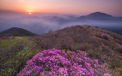 덕유의 미소