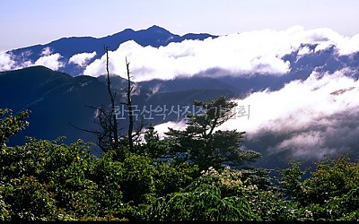 반야의  운해