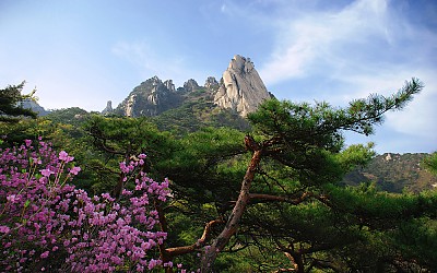 도봉산의 봄