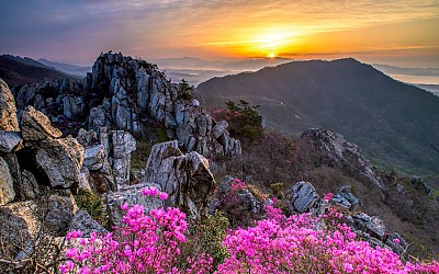 주작산