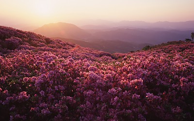 황매산