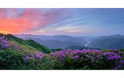 여명이 덮친 날