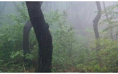 금정산