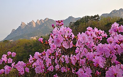 도봉산