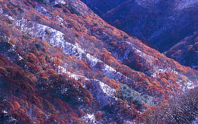 색의 조화