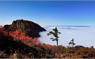 지리산의 가을