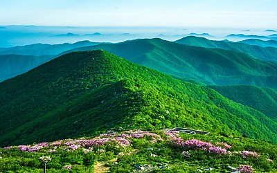 신록의 5월을 보내며