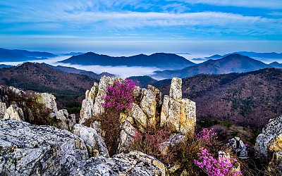주작산 운해