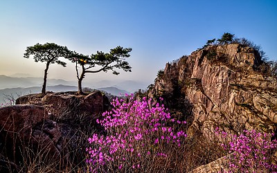안양산의 일출빛