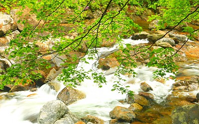 지리산의 미, 봄