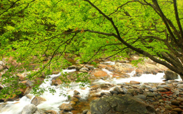  지리산의 미, 봄1