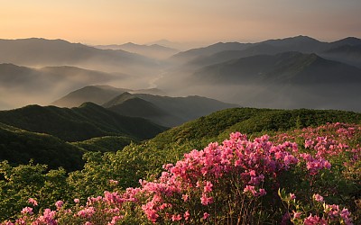 지리산의 미 (봄)