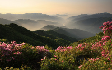 지리산의 미 (봄)