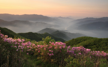 지리산의 미 (봄)