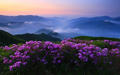 지리산의 미 (봄)
