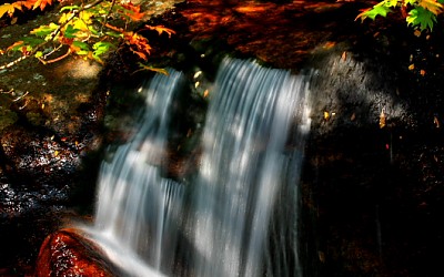 지리산의 미 (가을)