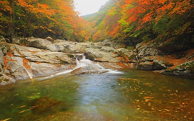 지리산의 미 (秋)