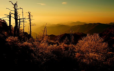 지리산의 미