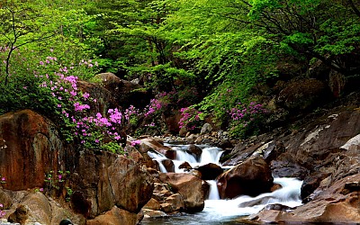 지리산의 미 (봄)