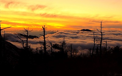 지리산의 미 冬