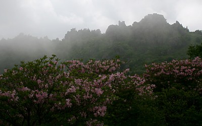 연하봉
