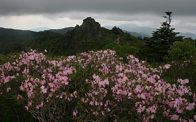 연하봉