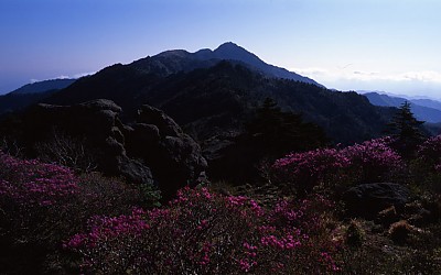 지리산의 봄