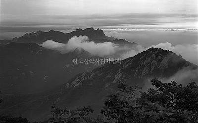 북한산의 여름