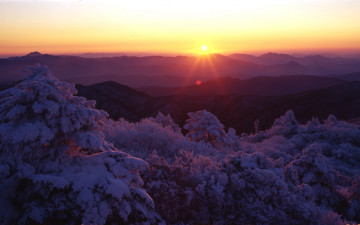 찬란한 덕유의 아침