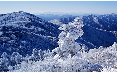 덕유설경