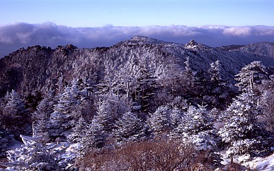 제석의 아침(Ⅱ)
