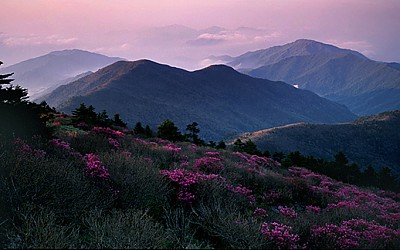 화원