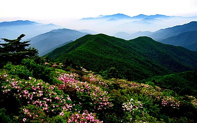 화원
