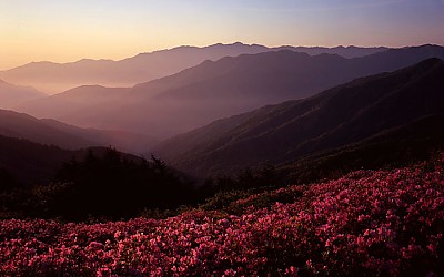 봄이오면