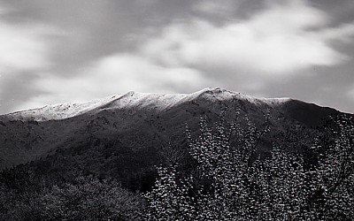 산동에서..