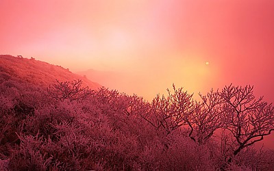 덕유산