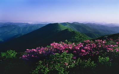 함백산의 봄 !